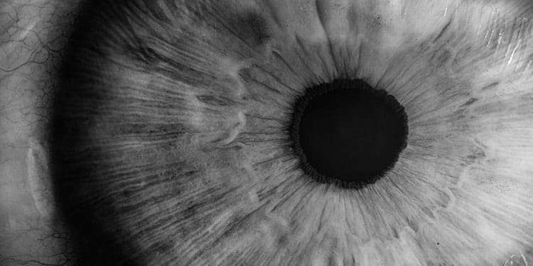 Eyes Wide Open.
