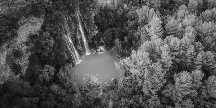 À la faveur de l'automne : suite.