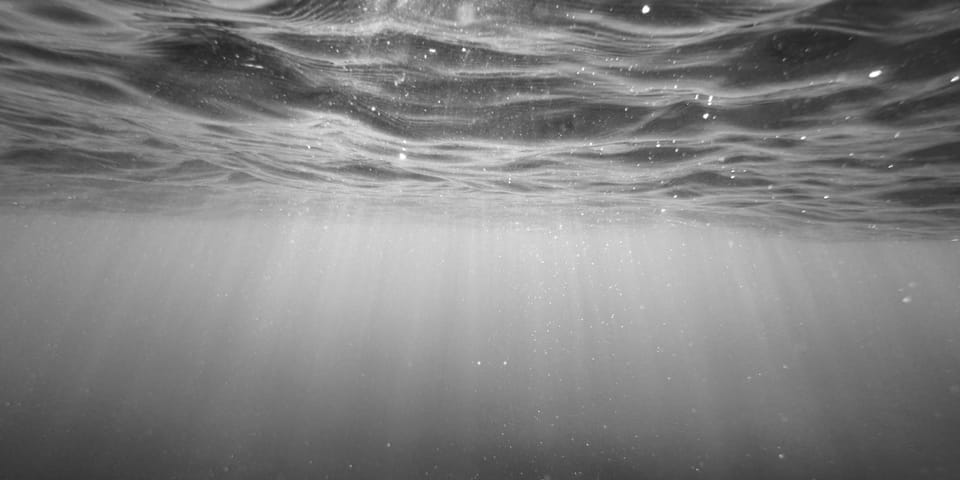 Bleu marine.